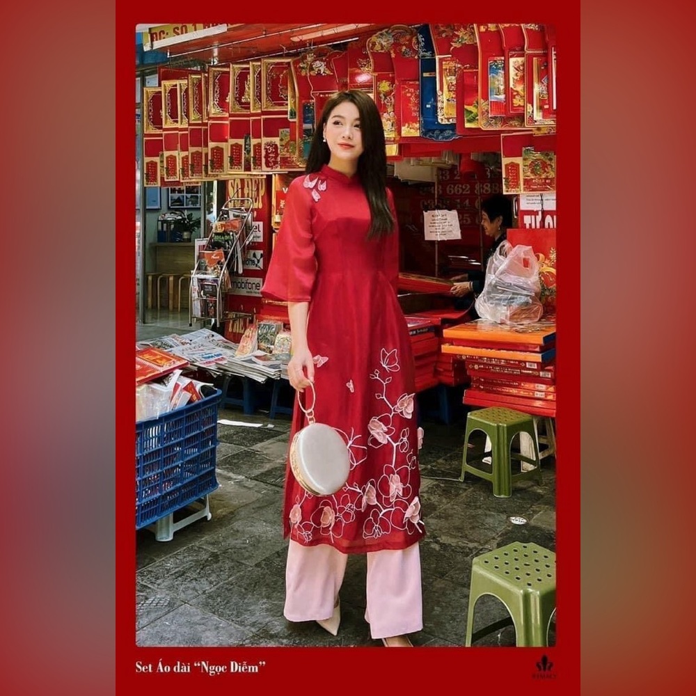 Beautiful Ao Dai - Vietnamese Traditional Dress